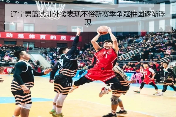 辽宁男篮试训外援表现不俗新赛季争冠拼图逐渐浮现